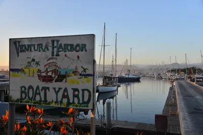 DSC_7303 (Large).JPG